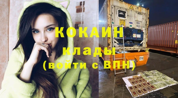 твердый Кодинск