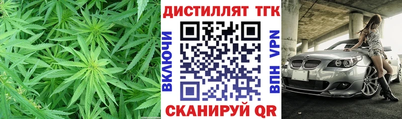 Купить закладки  Гдов  ТГК вейп 