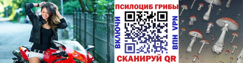 Купить  Гдов  Галлюциногенные грибы ЛСД 