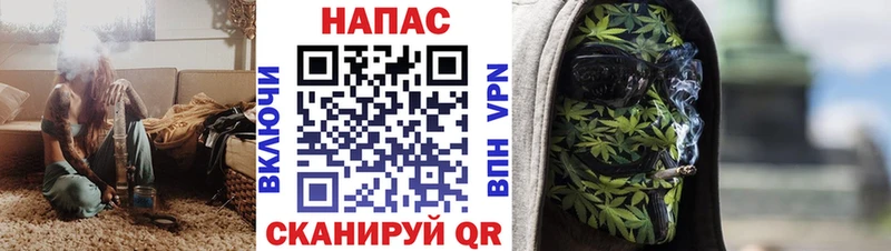 Купить где  Гдов  Конопля сатива 